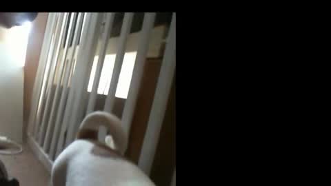 10mm_socket online show from February 11, 2026, 6:07 am