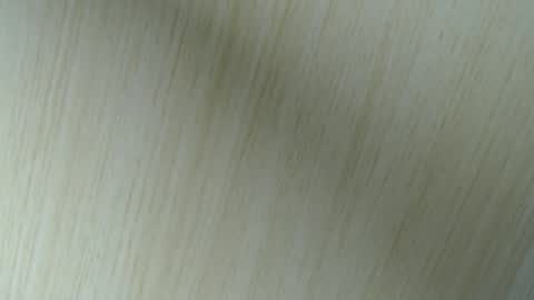 Aurora Willows online show from April 18, 2026, 2:48 am