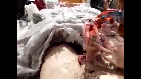 19spieler99 online show from February 8, 2025, 8:21 pm