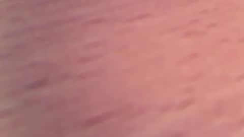 Snapshot of 1vaso chatting on February 4, 2025, 5:55 pm 1vaso online show from February 4, 2025, 5:55 pm