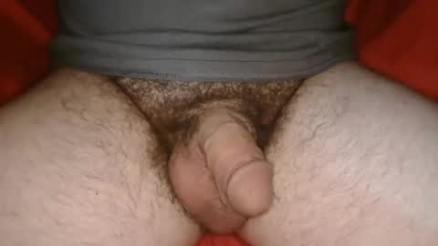 Phil online show from February 3, 2026, 2:21 am