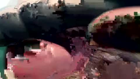 420_johnnystamina online show from February 15, 2025, 4:45 pm