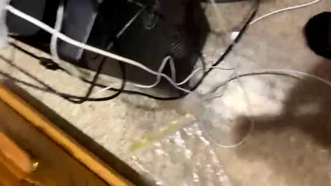 420bbwlover online show from January 4, 2025, 3:17 pm