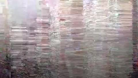 Kyle Brandon online show from December 13, 2024, 9:57 am