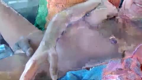 Daddy online show from November 17, 2025, 10:59 pm