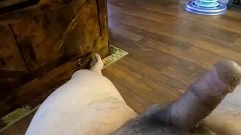 5tone_bon3 online show from January 20, 2025, 7:04 am