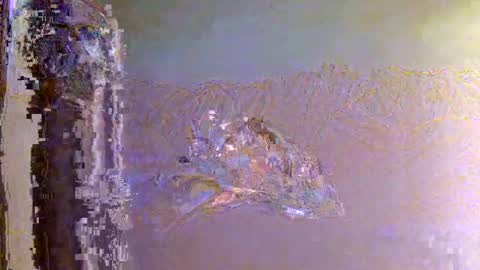 Zeus online show from November 1, 2025, 6:15 am