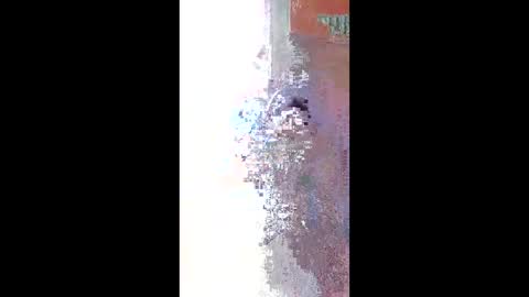 Zeus online show from April 22, 2026, 11:23 am