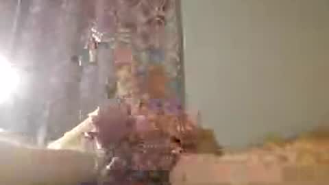 Snapshot of 60zeus60 chatting on July 15, 2026, 1:33 am Zeus online show from July 15, 2026, 1:33 am