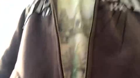 6990fiko online show from January 13, 2025, 10:36 am