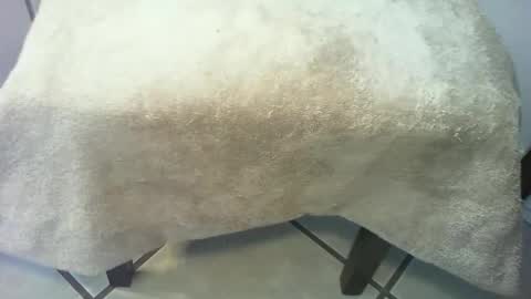 69forever453443 online show from March 15, 2026, 2:56 pm