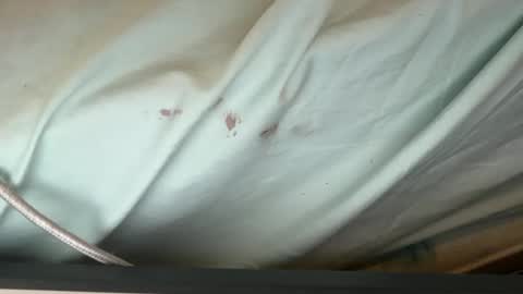 FUCKR online show from September 12, 2025, 8:14 am