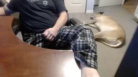 MASTIFF online show from December 21, 2025, 7:32 pm