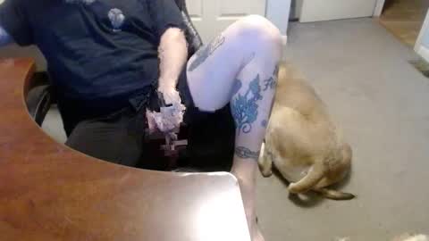 MASTIFF online show from January 16, 2026, 5:28 pm