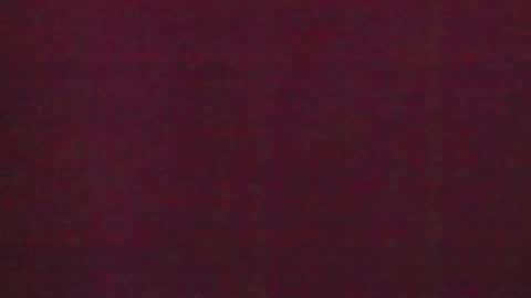 Brendi online show from January 31, 2025, 7:50 am