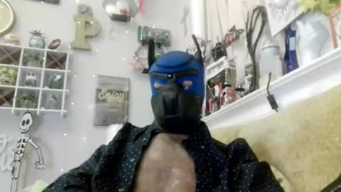 90210screamer online show from March 13, 2026, 11:06 am