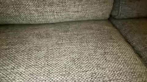 Snapshot of 987_123631053 chatting on April 5, 2026, 6:43 am D Biggs online show from April 5, 2026, 6:43 am