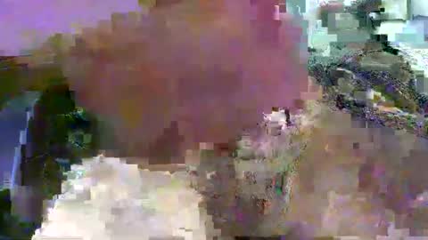 99zeus9 online show from January 15, 2025, 12:36 pm