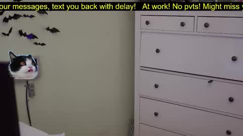 _3x7_ online show from October 7, 2025, 6:16 pm