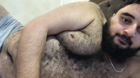 Snapshot of _alan_bear_ chatting on April 12, 2026, 7:24 am Alan online show from April 12, 2026, 7:24 am