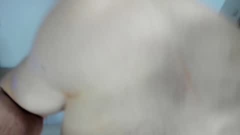 Alex online show from January 28, 2025, 12:54 pm