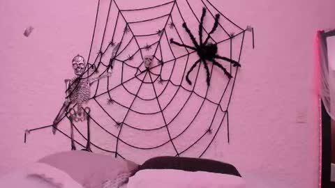 Snapshot of _alexandersawyer_ chatting on October 22, 2025, 4:46 am Alexander online show from October 22, 2025, 4:46 am