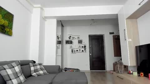 Ariana online show from February 20, 2025, 7:45 am