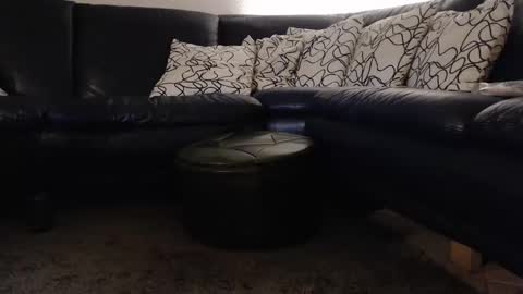 b0rn4porn online show from September 11, 2025, 12:00 am