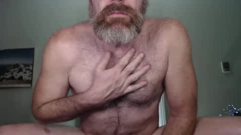 Snapshot of _bacchus chatting on December 28, 2024, 3:37 am Bacchus online show from December 28, 2024, 3:37 am