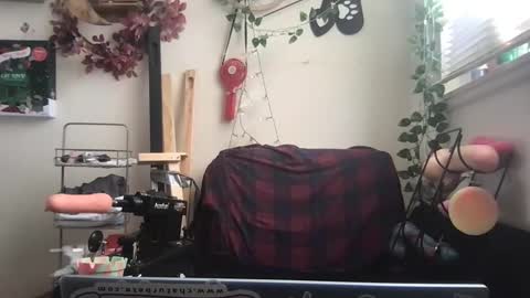 bandit online show from December 26, 2024, 3:31 pm