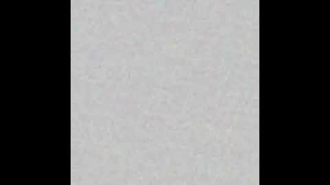 Brenda online show from February 17, 2025, 12:48 pm