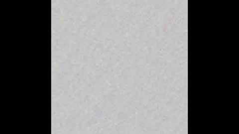 Brenda online show from September 19, 2025, 11:55 am