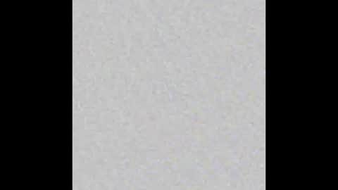 Brenda online show from October 16, 2025, 11:55 am