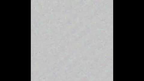 Brenda online show from November 12, 2025, 11:54 am