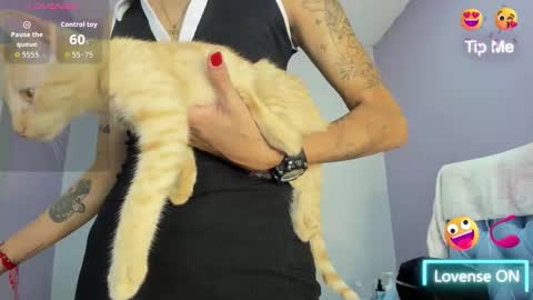  candy jade  online show from November 30, 2025, 11:58 am