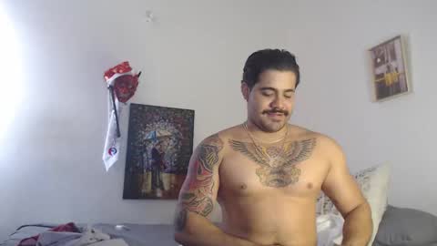  coddy  nolove online show from December 22, 2024, 12:38 pm