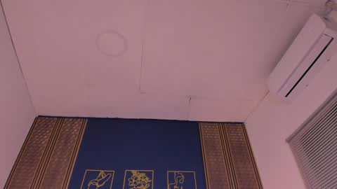 Dakota online show from December 4, 2024, 12:52 am