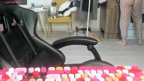 Alis online show from March 2, 2026, 7:15 am