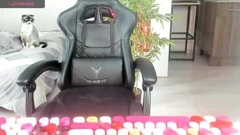Snapshot of _feralberry__ chatting on June 20, 2026, 7:11 am Alis online show from June 20, 2026, 7:11 am