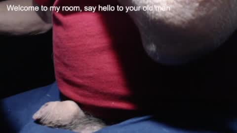 Snapshot of _jimmini chatting on February 21, 2025, 4:16 pm _jimmini online show from February 21, 2025, 4:16 pm