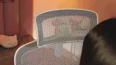 _kata online show from December 20, 2025, 11:28 am