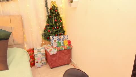 Ivy 3 online show from December 14, 2024, 5:07 am