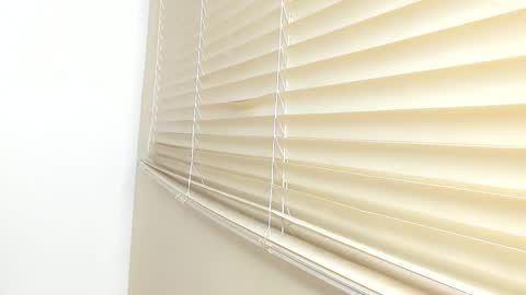 _molly_rosse_ online show from November 21, 2025, 11:53 am