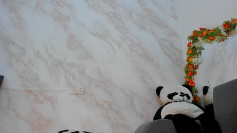 Snapshot of _nanny_1 chatting on January 11, 2025, 11:13 pm Nanny online show from January 11, 2025, 11:13 pm