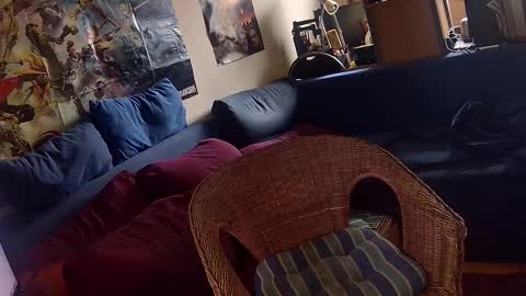 Sven online show from November 9, 2025, 12:58 pm