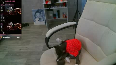 Milana   welcome to my world  online show from February 26, 2025, 7:53 am