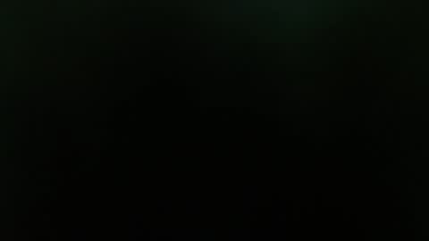  taisha online show from January 25, 2025, 11:34 am