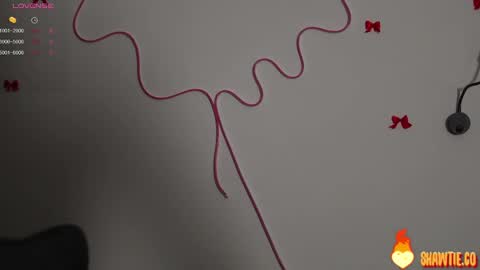 Snapshot of _taylor_swift chatting on February 15, 2025, 9:38 am Taylor online show from February 15, 2025, 9:38 am