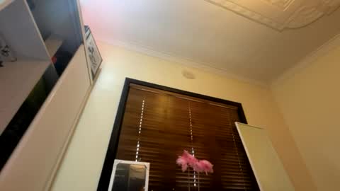 Snapshot of _turb0_tr4sh_ chatting on June 6, 2026, 3:00 am _turb0_tr4sh_ online show from June 6, 2026, 3:00 am