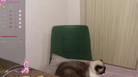 Alis online show from March 6, 2025, 5:54 pm